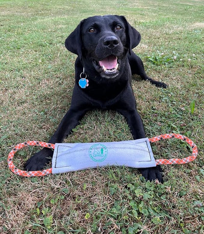 Rock-N-Rescue Hound Hose Firehose Dog Toy - Interactive Training Tug Rope from Durable Recycled Fire Hose. Indoor Outdoor Fetch Toy, Medium with Rescue Rope Handles