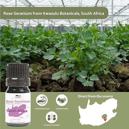 Rose Geranium Essential Oil
