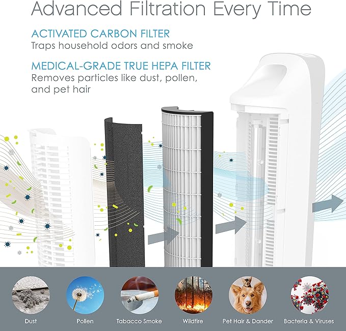 Pure Enrichment® Genuine 2-in-1 True HEPA Replacement Filter