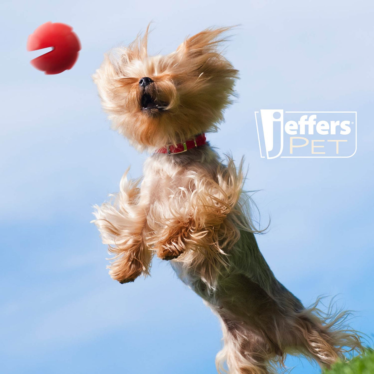 Jeffers Red Millipede Natural Rubber Treat Dispensing Dental Dog Chew Toy
