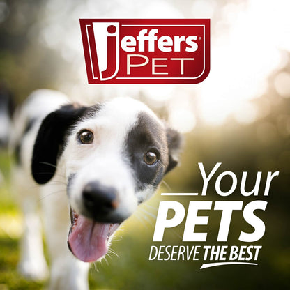 Jeffers Red Orbits Ball Natural Rubber Dental Treat Dispensing Dog Chew Toy