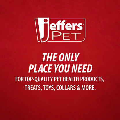 Jeffers Red Orbits Ball Natural Rubber Dental Treat Dispensing Dog Chew Toy