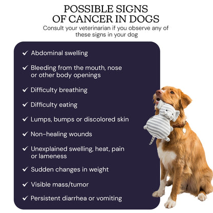 Oncotect Essential At-Home Dog Cancer Screening Test Kit