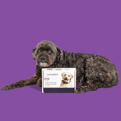 Oncotect Essential At-Home Dog Cancer Screening Test Kit